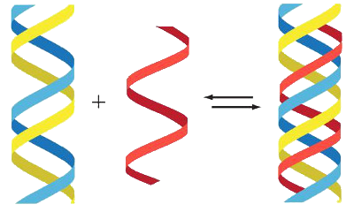 Fiktives DNA-Konzept einer Dreifachhelix