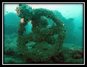 Ein Wagenrad im Roten Meer